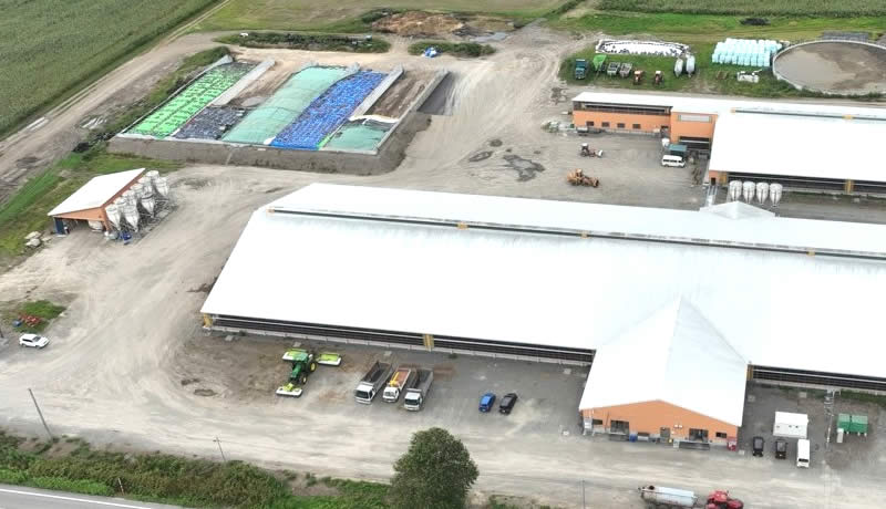 株式会社えみんぐ